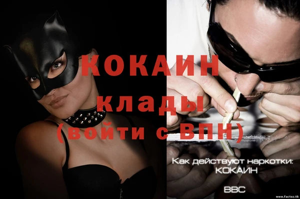 стаф Алексин