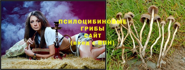 стаф Алексин