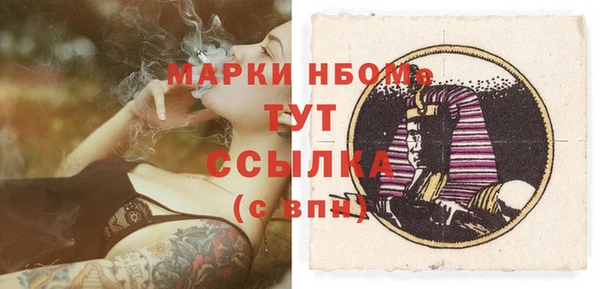 стаф Алексин