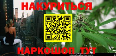 крисы Заводоуковск