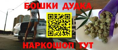 крисы Заводоуковск