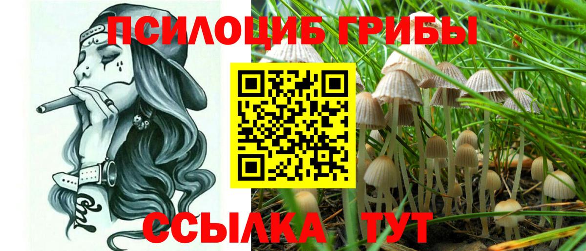 Галлюциногенные грибы Psilocybine cubensis Уссурийск