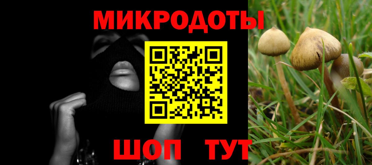 Уссурийск  Псилоцибиновые грибы Cubensis  Вход с VPN 